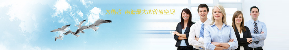 上海明达微电子有限公司
